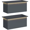 Sodo vazonas su LED 2 vnt. Antracitas 40 x 80 x 40 cm Plienas