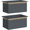 Sodo vazonas su LED 2 vnt. Antracitas 50 x 80 x 48 cm Plienas