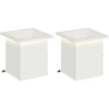 Sodo vazonas su LED 2 vnt. Balta 30 x 30 x 30 cm Plienas