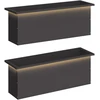 Sodo vazonas su LED 2 vnt. Juoda 30 x 100 x 30 cm Plienas