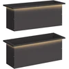 Sodo vazonas su LED 2 vnt. Juoda 30 x 80 x 30 cm Plienas