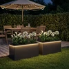 Sodo vazonas su LED 2 vnt. Juoda 50 x 100 x 48 cm Plienas