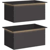 Sodo vazonas su LED 2 vnt. Juoda 50 x 80 x 48 cm Plienas