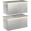 Sodo vazonas su LED 2 vnt. Sidabrinė 50 x 100 x 48 cm