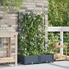 Sodo vazonas 2 vnt. Pilka 80 x 40 x 125,5 cm PP