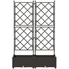 Sodo vazonas 2 vnt. Ruda 80 x 40 x 125,5 cm PP