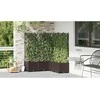 Sodo vazonas 5 vnt. Ruda 120 x 120 x 143 cm PP