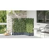 Sodo vazonas 5 vnt. Šviesiai pilka 120 x 120 x 125,5 cm PP