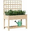 Sodo vazonas Smėlio 115 x 60,5 x 153 cm Kietasis pušinis medis