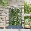 Sodo vazonas 2 pcs Šviesiai Pilka 80 x 40 x 125,5 cm Plastmasė