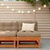 Sodo vidurinė sofa Tvirtas pušies medis Vaško Ruda