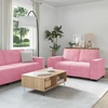Sofa Dviejų dalių sofos komplektas su pagalvėlėmis, rožinis aksomas