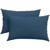 Sofa Pagalvės 2 pcs Mėlyna 60 x 40 cm audinys