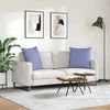 Sofa Pagalvės 2 pcs Džinsinės mėlynos 60 x 60 cm audinys