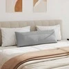Sofa Pagalvės 2 pcs Debesų pilka 120 x 40 cm audinys