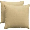 Sofa Pagalvės 2 pcs Pilkai žalia 50 x 50 cm Kordūrinis audinys