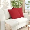 Sofa Pagalvės 2 pcs Raudona 50 x 50 cm audinys
