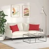 Sofa Pagalvės 2 pcs Raudona 60 x 40 cm audinys