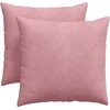 Sofa Pagalvės 2 pcs Rožinė 45 x 45 cm Kordūrinis audinys