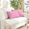 Sofa Pagalvės 2 pcs Rožinė 60 x 40 cm audinys
