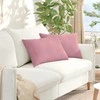 Sofa Pagalvės 2 pcs Rožinė 60 x 40 cm Kordūrinis audinys