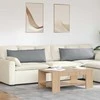 Sofa Pagalvės 2 pcs Šviesiai pilka 120 x 40 cm audinys