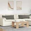 Sofa Pagalvės 2 pcs Šviesiai pilka 120 x 40 cm