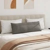 Sofa Pagalvės 2 pcs Šviesiai pilka 120 x 40 cm