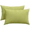 Sofa Pagalvės 2 pcs Šviesiai žalia 60 x 40 cm audinys