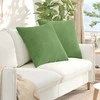 Sofa Pagalvės 2 pcs Šviesiai žalia 60 x 60 cm