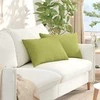 Sofa Pagalvės 2 pcs Šviesiai žalia 60 x 40 cm audinys