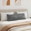 Sofa Pagalvės 2 pcs Tamsiai pilka 120 x 40 cm audinys