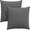 Sofa Pagalvės 2 pcs Tamsiai pilka 80 x 80 cm audinys