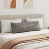 Sofa Pagalvės 2 pcs Tortora 120 x 40 cm audinys
