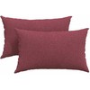 Sofa Pagalvės 2 pcs Vyno raudona 50 x 30 cm audinys