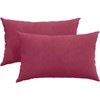 Sofa Pagalvės 2 pcs Vyno raudonumo 50 x 30 cm