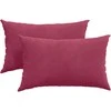 Sofa Pagalvės 2 pcs Vyno raudonumo 50 x 30 cm