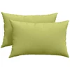 Sofa Pagalvės 2 vnt. audinys Šviesiai žalia 60 x 40 cm