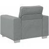 Sofa Kėdė Šviesiai pilka 100 cm audinys