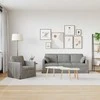 Sofa Sofos komplektas 2 vnt. Šviesiai pilka Aksomas