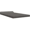 Sofa Sulankstomas Sofos Lova Tamsiai pilka 120 x 60 x 49 cm Audinys