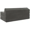 Sofa Sulankstomas Sofos Lova Tamsiai pilka 120 x 60 x 49 cm Audinys