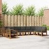 Lauko sofos komplektas 10 pcs Natūralus ir antracitas