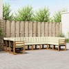 Lauko sofos komplektas 10 pcs Natūralus ir grietinėlė