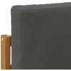 Lauko sofos komplektas su pagalve 2 pcs Natūrali
