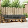Sofa Lauko sofos komplektas su pagalve 5 pcs Natūralus ir antracitas