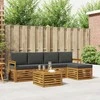 Lauko sofos komplektas su pagalve 6 pcs Natūralus ir antracitas