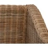 Sofa Sofų komplektas su pagalvėlėmis, 2 d., natūralus ratanas