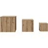 šoniniai staliukai 3 vnt Old Wood Engineered Wood