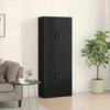 Prie sienos montuojama spinta 2 pcs Juodas ąžuolas